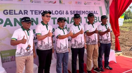 close-up-picture-sapling-plant-is-growing-1-7